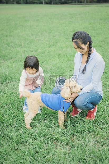 欢闹小型犬人物狗和osanpo图像图片