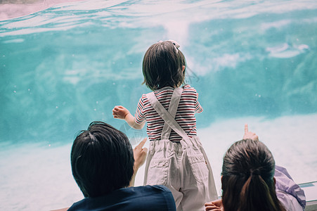 在水中假日妈妈水族馆家庭图片