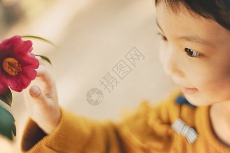 触碰花朵的女孩高清图片