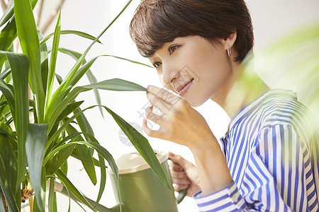 给植物浇水的成年女性图片