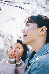 享受樱花的一家人图片