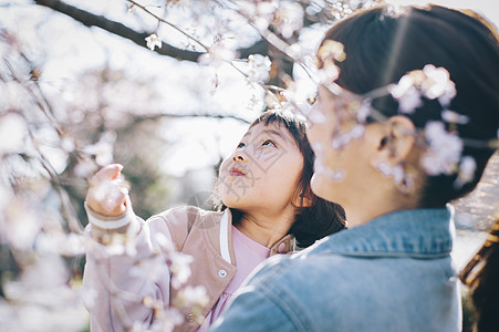 观赏樱花的母亲抱着小女孩图片