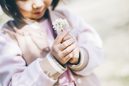 公园里观赏樱花的小女孩图片