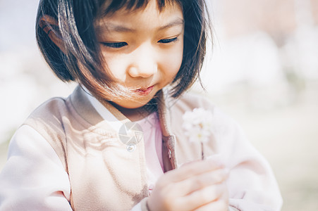 公园里观赏樱花的小女孩图片