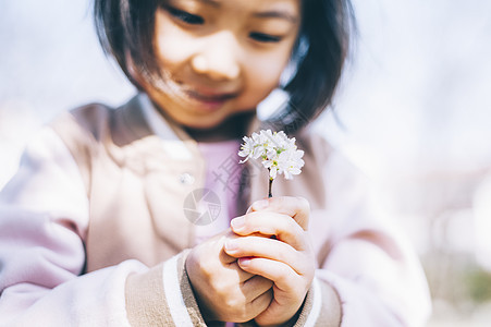 公园里观赏樱花的小女孩图片