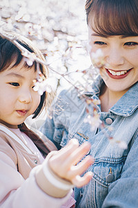 观赏樱花的母亲抱着小女孩图片