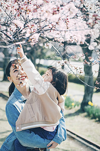 抱着花卉女孩观赏樱花的母亲抱着小女孩背景