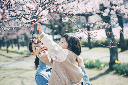 抱着花卉女孩观赏樱花的母亲抱着小女孩背景