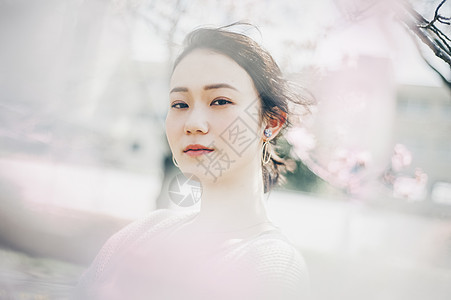 美人和风模特儿樱花春天妇女画象图片