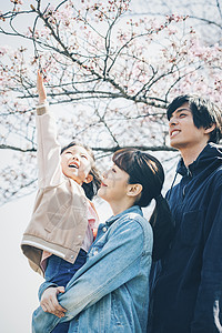 年轻的女孩儿童开花樱花春天图片