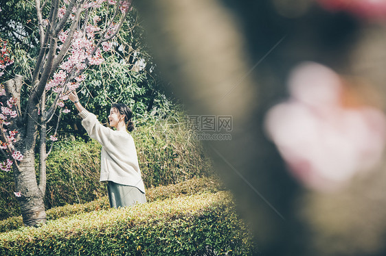 触碰盛开清澈春天的女人肖像图片