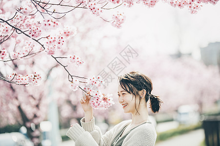 樱桃树年轻公园樱花春天的女人图片