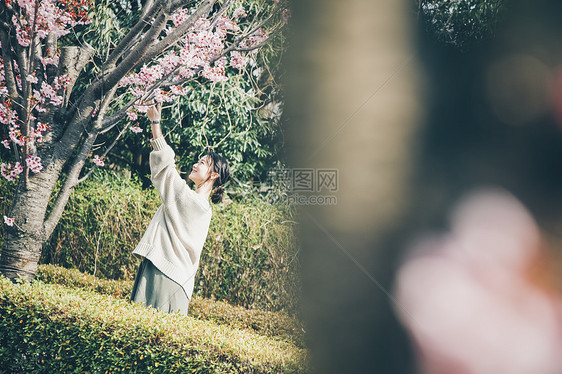 女人户外赏樱图片