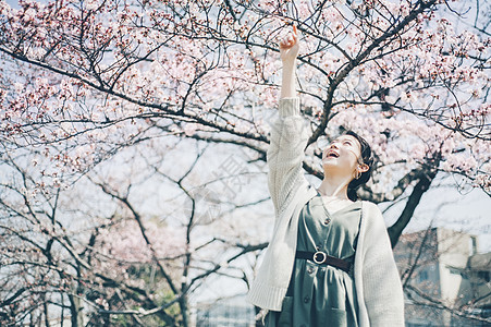 樱花树下孤独女人户外赏樱背景