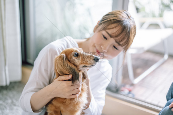 女人养着宠物狗生活图片