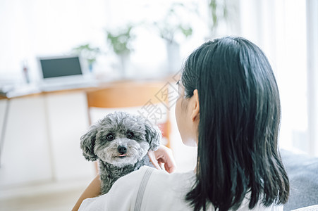 室内微笑的女人抱着宠物狗图片