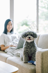 女人养着可爱宠物狗图片