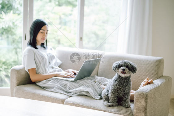 房间养着可爱宠物狗的女人图片