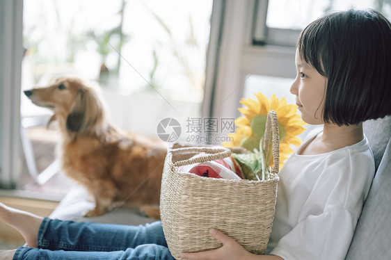 小孩通体遵守生活与狗女孩图片