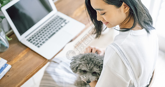 快乐日本人客厅生活与狗女人生意图片