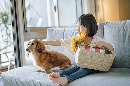 全体坐下儿童生活与狗女孩图片