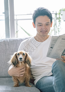 高兴沙发狗狗生活与狗男人图片