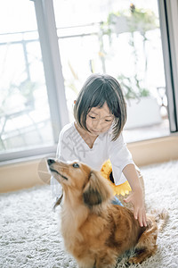 可爱居家小女孩和宠物狗图片