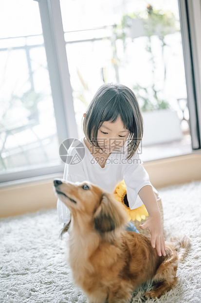 可爱居家小女孩和宠物狗图片