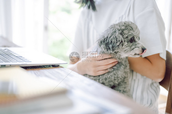 可爱女人和宠物狗图片