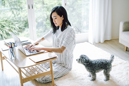 操作计算机生命生活与狗女人生意图片