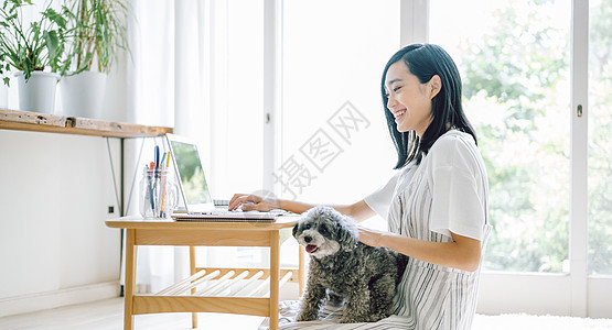 房间养着宠物狗的女人用电脑图片