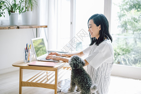 房间养着可爱宠物狗的女人用电脑图片