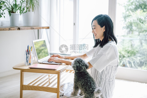 房间养着可爱宠物狗的女人用电脑图片