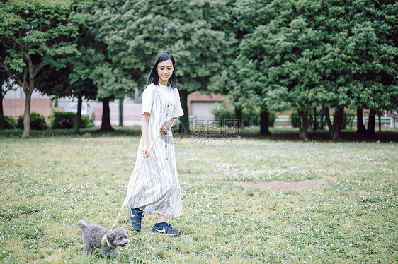草坪上牵着狗狗散步的年轻女子图片