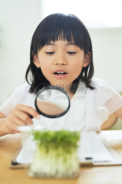 夏天室内的儿童女孩学习研究图片