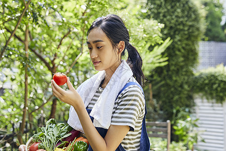 室外妇女采摘蔬菜图片