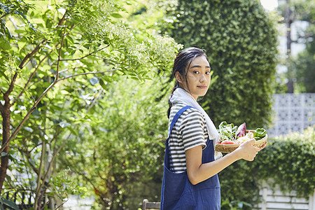 室外妇女采摘蔬菜图片