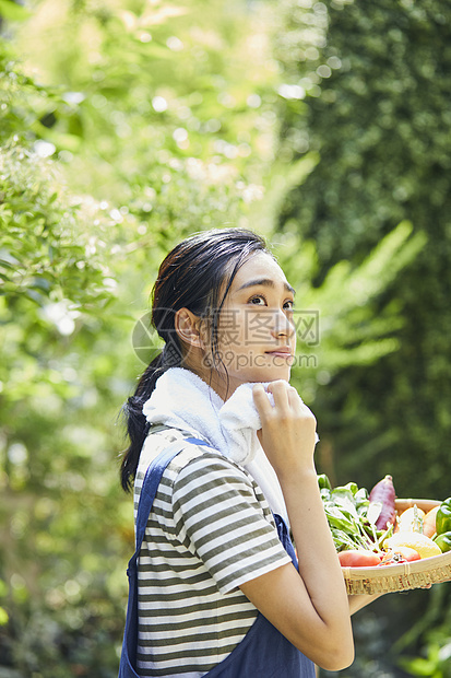 室外妇女采摘蔬菜图片