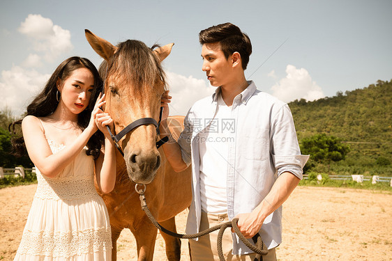 马和年轻情侣图片