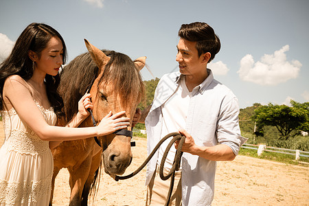 马和年轻情侣图片