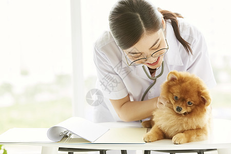 健康检查活力人物做小狗考试的少妇图片