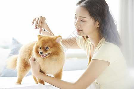 动物开心打扮的和小狗一起生活的年轻女子图片