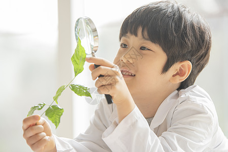 小男孩用放大镜观察绿植图片