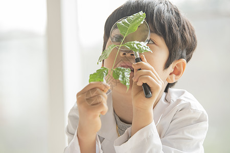 小男孩用放大镜观察绿植图片