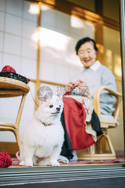 老人的居家幸福生活图片