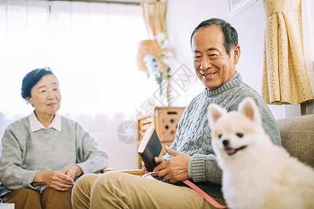 沙发上的老年夫妇和博美犬图片