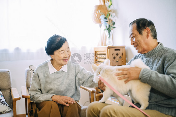 沙发上抱着狗的老年夫妇图片