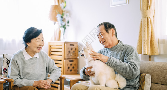 沙发上抱着博美犬的老人夫妇图片