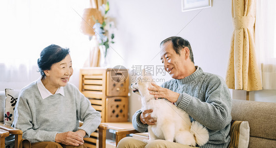 沙发上抱着博美犬的老人夫妇图片