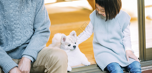 院子里的博美犬图片